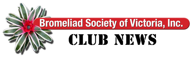Bromeliad Society of Victoria - Club News