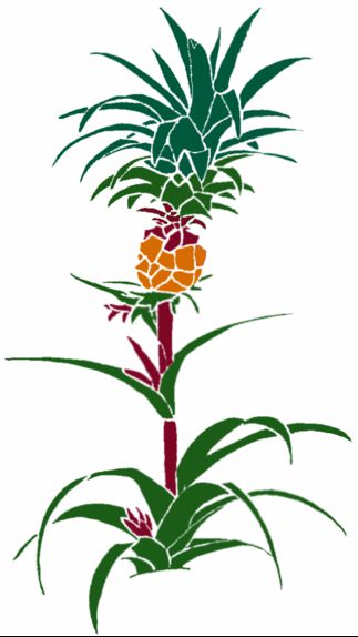 Glasshouse Country Bromeliad Society