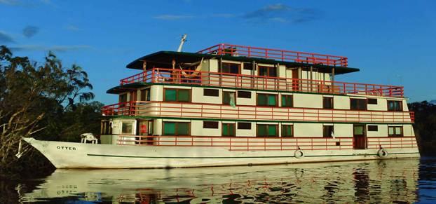 Bromeliad Leaf Patterns
