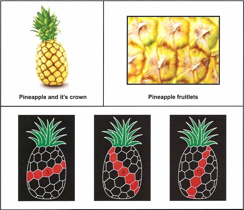 Pineapples