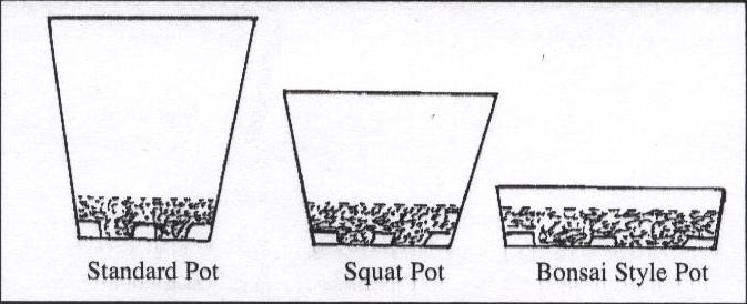 Pot shapes