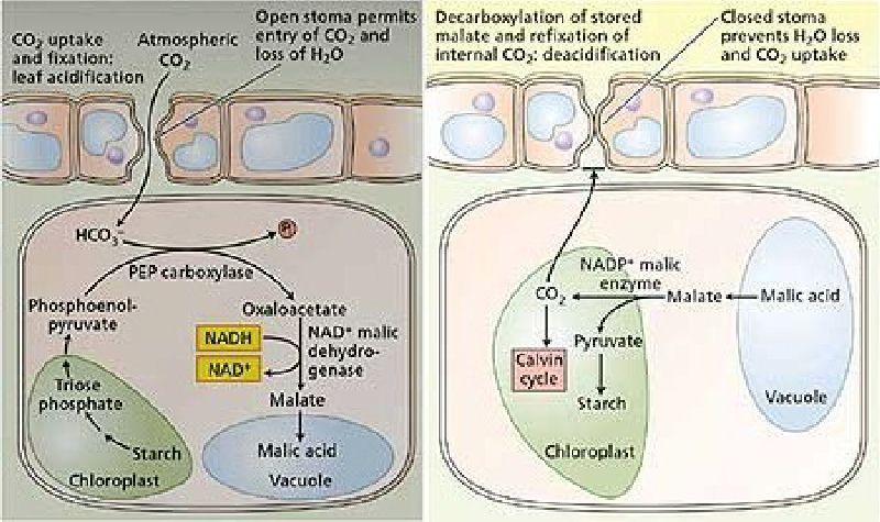 Figure 10.